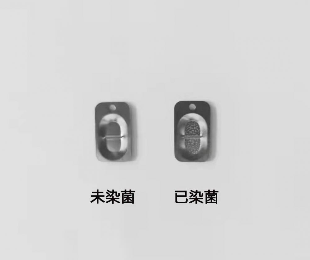 不銹鋼菌片15X9mm.jpg 不銹鋼菌片15X9mm.jpg